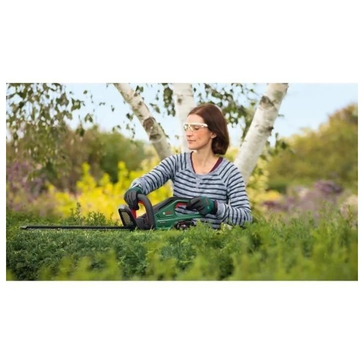 Taille-haies Bosch - UniversalHedgeCut 18V-55 (Longueur de la Lame 55 cm, livré dans une boîte en carton) + batteries chargeur Taille-haies Bosch - UniversalHedgeCut 18V-55 (Longueur de la Lame 55 cm, livré dans une boîte en carton) + batteries chargeur