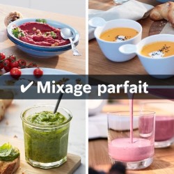 Blender VitaPower - BOSCH - MMB6141W - 1200 W - 30000 trs/min - 2 vite