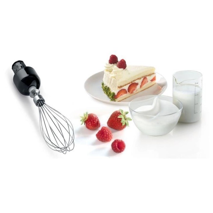 Mixeur Plongeant BOSCH ErgoMixx MSM67160 – Puissance de 750 W – Mini-hachoir et fouet inclus - Noir