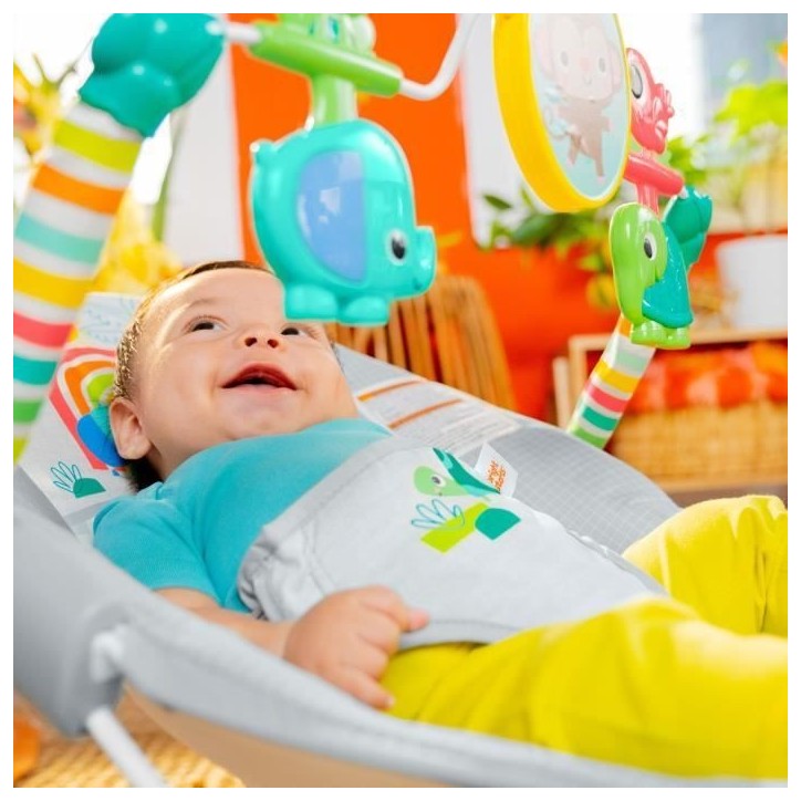 BRIGHT STARTS Transat pour bébé Animaux, Vibrations apaisantes, Arche d'éveil avec jouets interactifs, Cadeau Noel bébé BRIGHT STARTS Transat pour bébé Animaux, Vibrations apaisantes, Arche d'éveil avec jouets interactifs, Cadeau Noel bébé