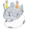 DISNEY BABY - WINNIE-Transat bébé évolutif Arche avec jouets d'éve