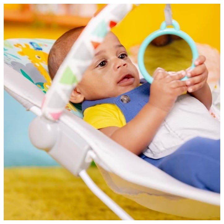 BRIGHT STARS Transat pour bébé - Safari - Arche avec jouets d'éveil amovible dont un miroir bébé, Harnais 3 points