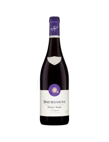 Frédéric Magnien Bourgogne Pinot Noir Elegant - Vin rouge de Bourgogne