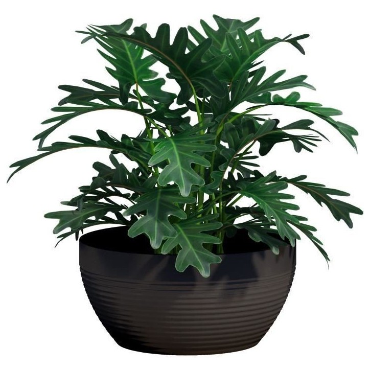 Coupe - GARDEN ID - Green Care Impact Noir-Anth - 25 x 12 cm - Garanti 10ans - 100% recyclé - UV/gel résistant