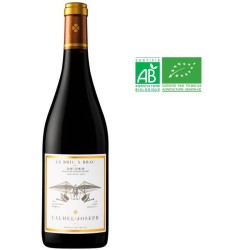 Calmel & Joseph Les Terroirs Le Bric a Brac 2020 Saint Chinian - Vin r
