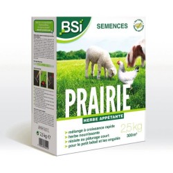 BSI - Semences De Gazon - Prairie - Tres Haute qualité - Grande Surfa