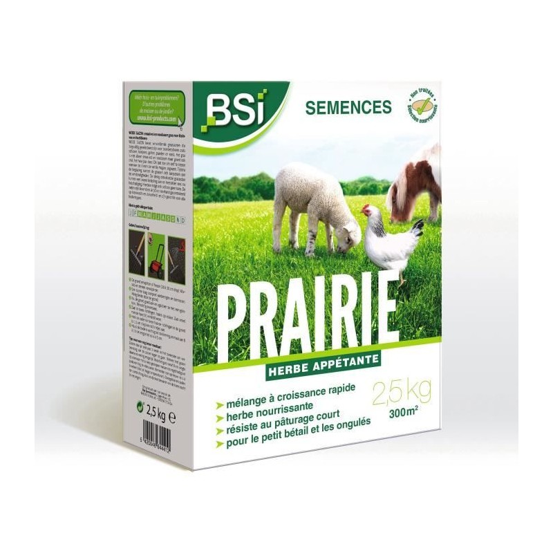 BSI - Semences De Gazon - Prairie - Tres Haute qualité - Grande Surfa BSI - Semences De Gazon - Prairie - Tres Haute qualité - Grande Surfa