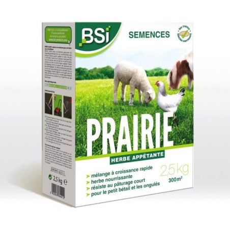 BSI - Semences De Gazon - Prairie - Tres Haute qualité - Grande Surfa