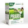BSI - Semences De Gazon - Prairie - Tres Haute qualité - Grande Surfa