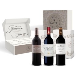 Coffret Cadeau Grands Vins de Haut-Médoc : Closerie de Camensac, Haut