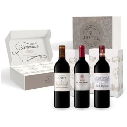 Coffret Médailles d'Or de Bordeaux :2020 Château du Lort, La Croix M