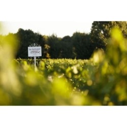 Coffret Médailles d'Or de Bordeaux :2020 Château du Lort, La Croix M