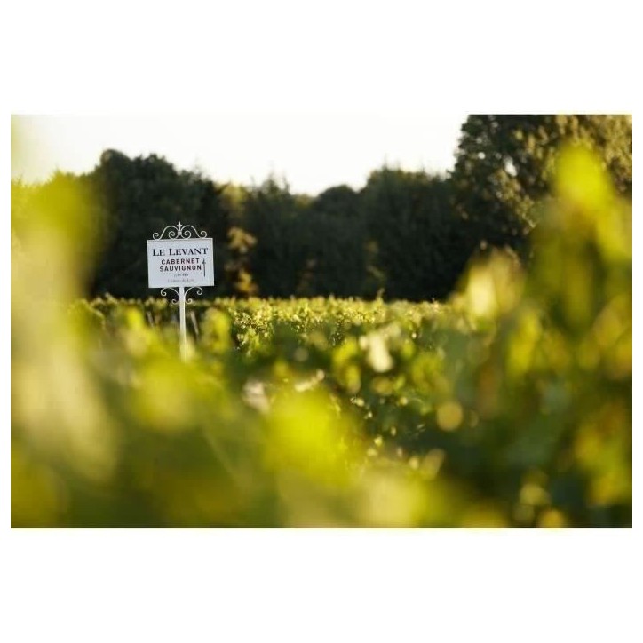 Coffret Médailles d'Or de Bordeaux :2020 Château du Lort, La Croix Montlabert, Châteaux Tour Prignac - Vin Rouge de Bordeaux