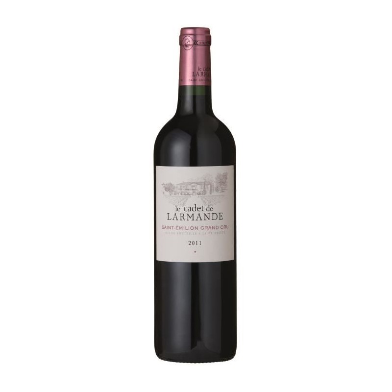 Cadet de Larmande 2011 Saint-Emilion - Vin rouge de Bordeaux
