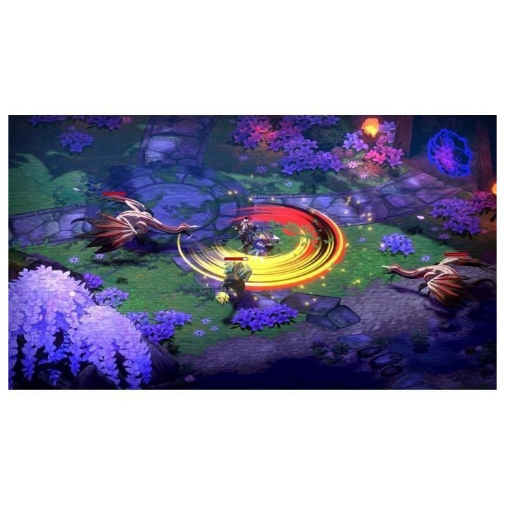 Towa and the Guardians of the Sacred Tree - Edition Limitée - Jeu Nintendo Switch