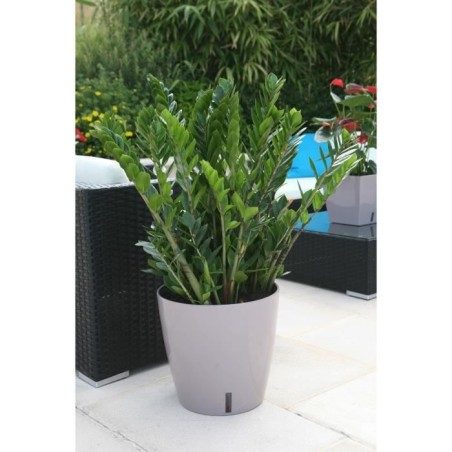 Pot de fleur rond en plastique - RIVIERA - EVA NEW - Avec réserve d'eau - Ø 46 cm - 49 L - Taupe