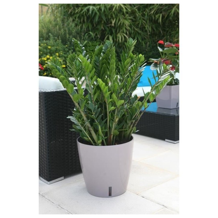 Pot de fleur rond en plastique - RIVIERA - EVA NEW - Avec réserve d'eau - Ø 46 cm - 49 L - Taupe Pot de fleur rond en plastique - RIVIERA - EVA NEW - Avec réserve d'eau - Ø 46 cm - 49 L - Taupe