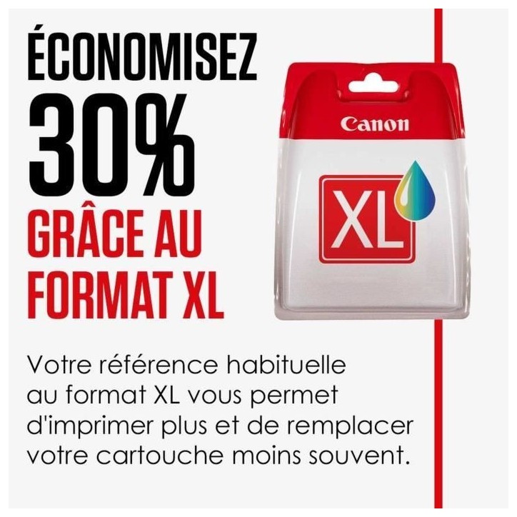 CANON Pack de 5 cartouches d'encre PGI-550 / CLI-551 Noir/Cyan/Magenta/Jaune/Gris