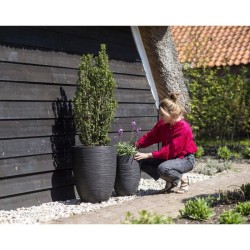CAPI EUROPE Vase élégant bas RIB NL - 34x46 cm - Noir