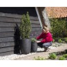 CAPI EUROPE Vase élégant bas RIB NL - 34x46 cm - Noir