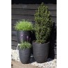 CAPI EUROPE Vase élégant bas RIB NL - 34x46 cm - Noir