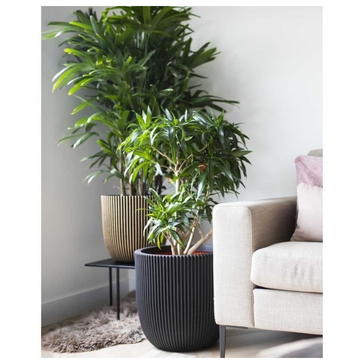 CAPI EUROPE Pot de fleurs boule RIB NL - 43x41 cm - Noir