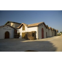 Magnum Coffret Cadeau Caisse Bois - Château Ferrande 2019 Graves - Vi