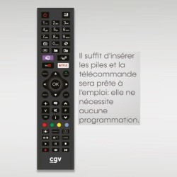 Télécommande de remplacement - CGV - FIDELIO Sony - Pour téléviseu
