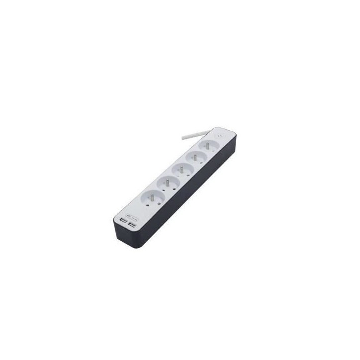 CHACON Bloc multiprise 5 prises 16 A avec 2 ports USB et câble 1,5 m HO5VV-F 3x1,5 mm² blanc et gris CHACON Bloc multiprise 5 prises 16 A avec 2 ports USB et câble 1,5 m HO5VV-F 3x1,5 mm² blanc et gris
