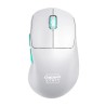 Souris de gaming ultra-légere 2,4 GHz - CHERRY XTRFY M64 WIRELESS - B Souris de gaming ultra-légere 2,4 GHz - CHERRY XTRFY M64 WIRELESS - B