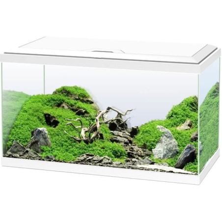 Aquarium 60 cm - CIANO - 58 litres + Filtre + LED + Chauffage + Consom