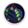 Vernis a ongle - CLEMENTONI - Mon Laboratoire Des Ongles - Coffret sci