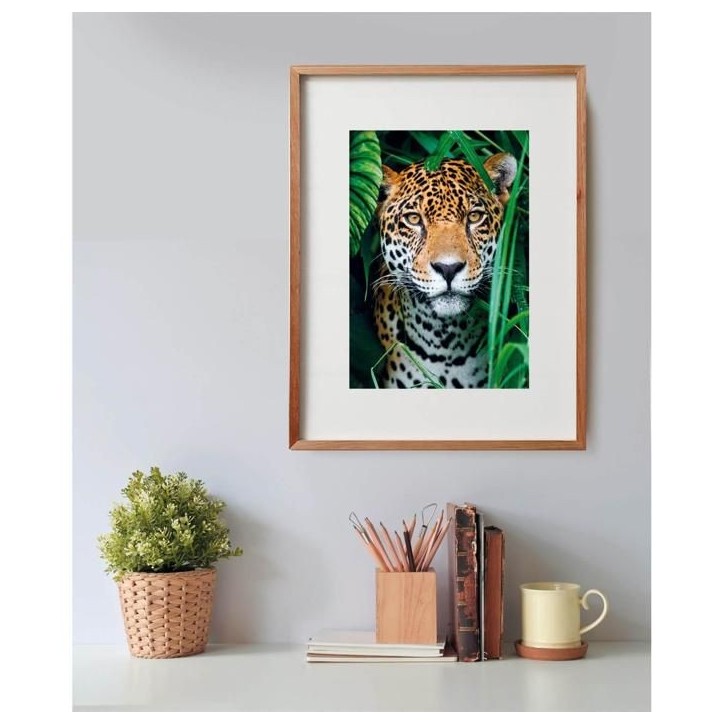 Puzzle 500 pieces + poster : Jaguar dans la jungle