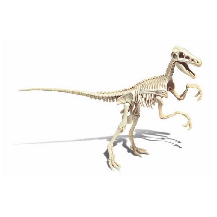 Clementoni - Science & Jeu - Archéo Ludic - Vélociraptor Clementoni - Science & Jeu - Archéo Ludic - Vélociraptor