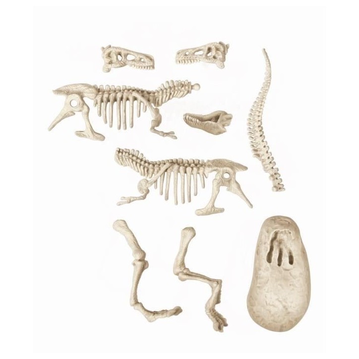 Clementoni - Science & Jeu - Archéo Ludic - Vélociraptor Clementoni - Science & Jeu - Archéo Ludic - Vélociraptor