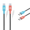 Câble de charge - FREAKS AND GEEKS - Nintendo Switch 2 - Type C vers