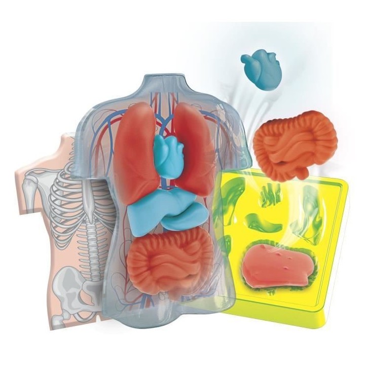Mini Labo d'anatomie CLEMENTONI Mini Labo d'anatomie CLEMENTONI