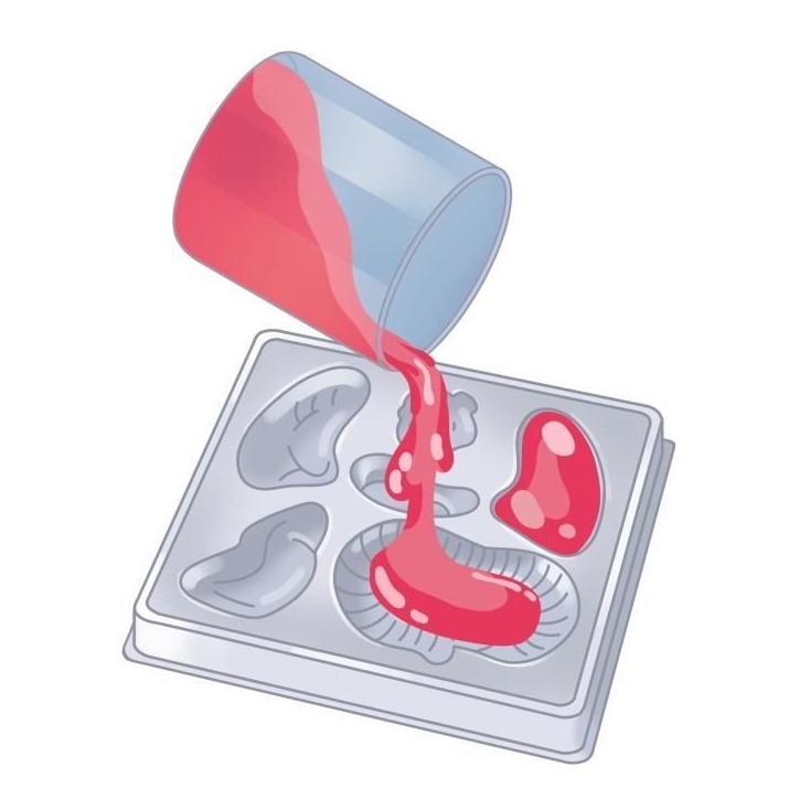 Mini Labo d'anatomie CLEMENTONI Mini Labo d'anatomie CLEMENTONI