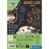 Archéo Ludic Stégosaure CLEMENTONI