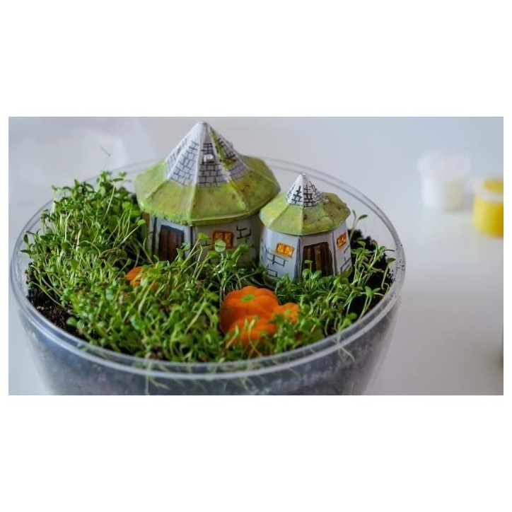 Terrarium Harry Potter - CLEMENTONI - Cabane de Hagrid a reproduire Terrarium Harry Potter - CLEMENTONI - Cabane de Hagrid a reproduire