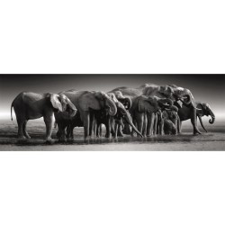 CLEMENTONI - Compact 1000 pieces Panorama - Herd of Giants