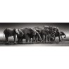 CLEMENTONI - Compact 1000 pieces Panorama - Herd of Giants