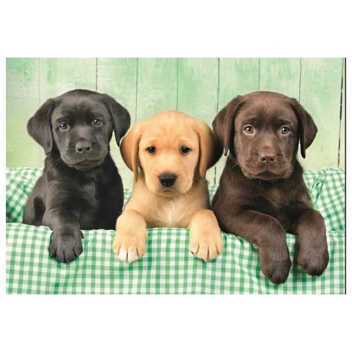 CLEMENTONI - Compact 1000 pieces - Three Labs CLEMENTONI - Compact 1000 pieces - Three Labs