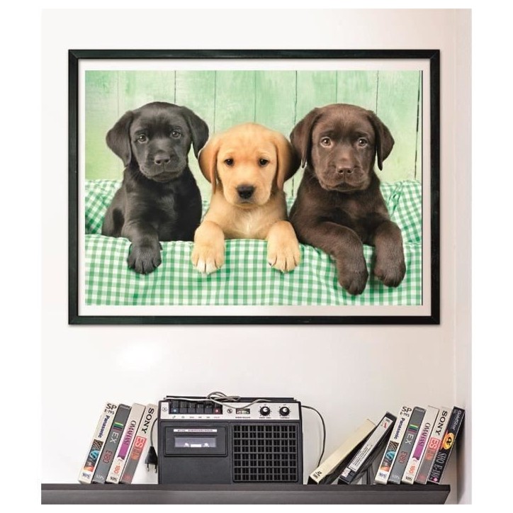 CLEMENTONI - Compact 1000 pieces - Three Labs CLEMENTONI - Compact 1000 pieces - Three Labs