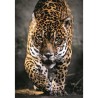 CLEMENTONI - Compact 1000 pieces - Walk of the Jaguar