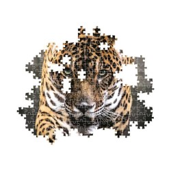 CLEMENTONI - Compact 1000 pieces - Walk of the Jaguar