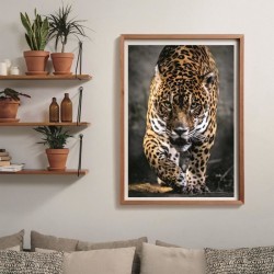 CLEMENTONI - Compact 1000 pieces - Walk of the Jaguar