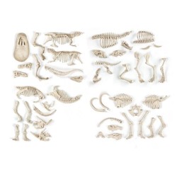 Clementoni - Science & Jeu - Archéo Ludic - Proies et Prédateurs