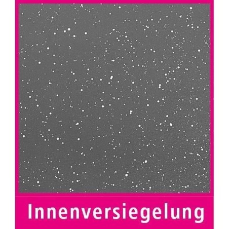 Cocotte fonte d'aluminium - GSW - CERAMICA XL - 38 cm - Ovale - Induction