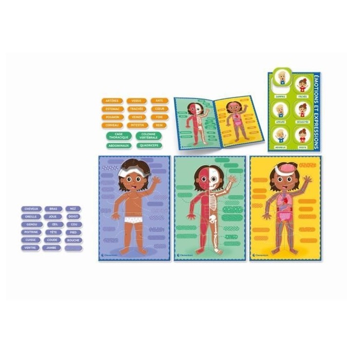 Montessori - Clementoni - Le Corps Humain - Jeu éducatif pour apprendre comment est fait le corps a l'interieur et a l'exterieu